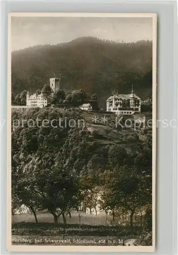 AK / Ansichtskarte Hornberg_Schwarzwald Schlossberg Hornberg Schwarzwald