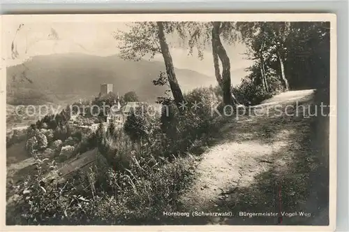 AK / Ansichtskarte Hornberg_Schwarzwald B?rgermeister Vogel Weg Hornberg Schwarzwald