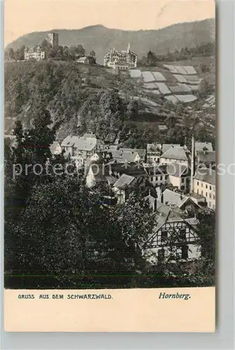 AK / Ansichtskarte Hornberg_Schwarzwald Panorama Schlossberg Hornberg Schwarzwald