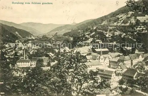 AK / Ansichtskarte Hornberg_Schwarzwald Blick vom Schloss Hornberg Schwarzwald