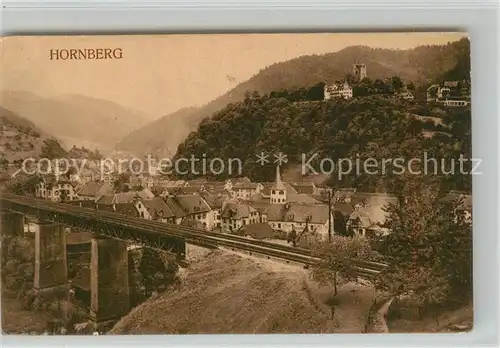 AK / Ansichtskarte Hornberg_Schwarzwald Panorama Schloss Hornberg Schwarzwald