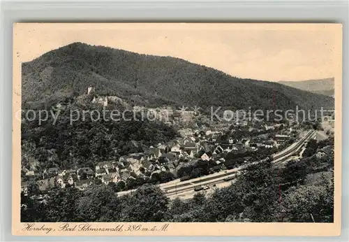 AK / Ansichtskarte Hornberg_Schwarzwald Panorama Hornberg Schwarzwald