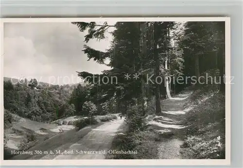 AK / Ansichtskarte Hornberg_Schwarzwald Offenbachtal Hornberg Schwarzwald