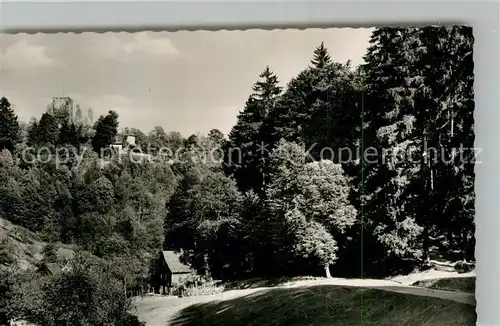 AK / Ansichtskarte Hornberg_Schwarzwald Blick zum Schloss Hornberg Schwarzwald