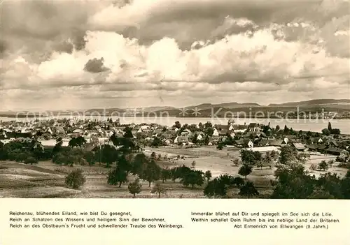 AK / Ansichtskarte Insel_Reichenau_Bodensee Panorama 