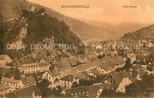 AK / Ansichtskarte Hornberg_Schwarzwald Panorama Hornberg Schwarzwald