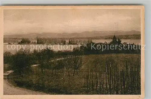 AK / Ansichtskarte Oberzell_Reichenau Panorama Blick auf Pappelallee Kontanz Schweizer Ufer Alpen Oberzell Reichenau