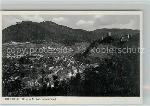 AK / Ansichtskarte Hornberg_Schwarzwald Panorama Hornberg Schwarzwald