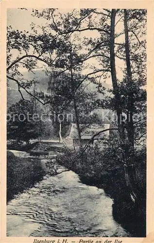 AK / Ansichtskarte Ilsenburg_Harz Partie an der Ilse Ilsenburg Harz