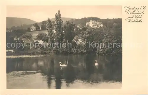 AK / Ansichtskarte Ilsenburg_Harz Forellenteich mit Hotel Waldhoehe Ilsenburg Harz