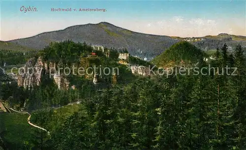 AK / Ansichtskarte Oybin Panorama Hochwald Blick vom Ameisenberg Zittauer Gebirge Oybin