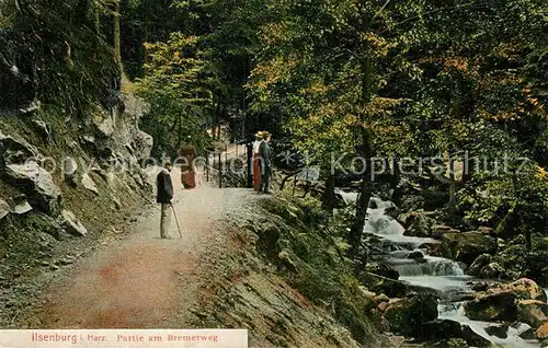 AK / Ansichtskarte Ilsenburg_Harz Partie am Bremerweg Wald Wasserfall Ilsenburg Harz