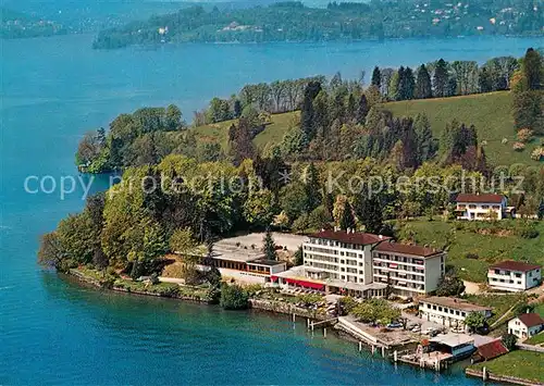 AK / Ansichtskarte Hertenstein_LU Hotel Hertenstein Vierwaldstaettersee Fliegeraufnahme Hertenstein_LU