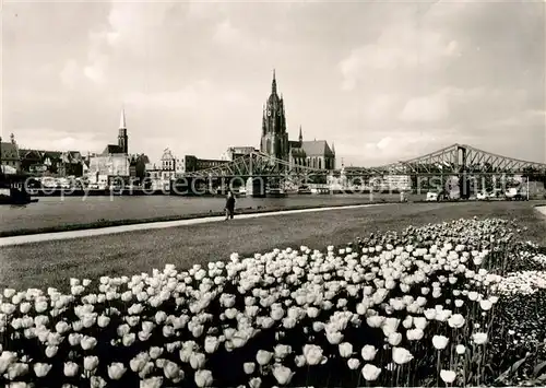 AK / Ansichtskarte Frankfurt_Main Mainansicht mit Dom Frankfurt Main