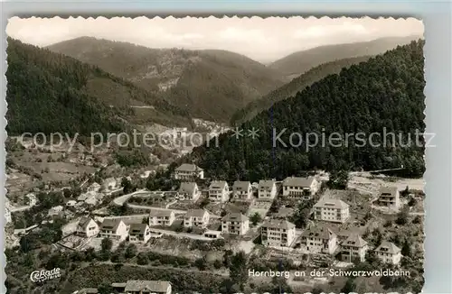 AK / Ansichtskarte Hornberg_Schwarzwald Fliegeraufnahme Hornberg Schwarzwald