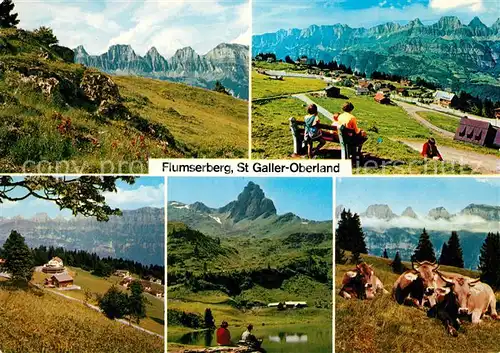 AK / Ansichtskarte Flumserberg_Bergheim St. Galler Oberland Kuehe Flumserberg Bergheim