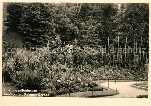 AK / Ansichtskarte ueberlingen_Bodensee Stadtgarten Kakteengruppe ueberlingen Bodensee