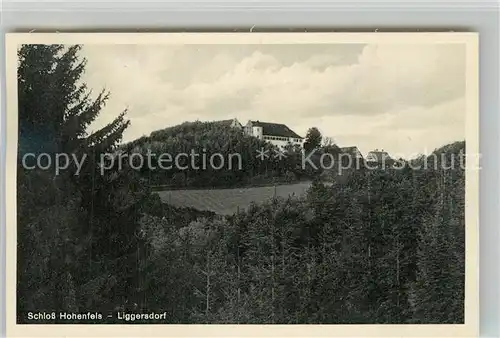 AK / Ansichtskarte Liggersdorf Schloss Hohenfels Liggersdorf