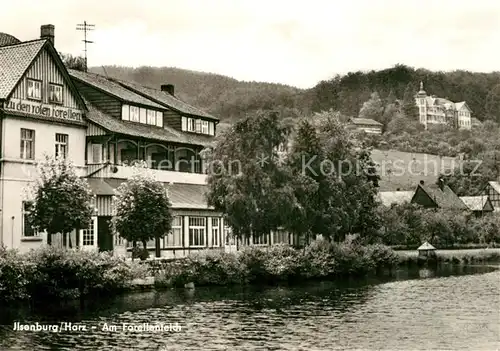 AK / Ansichtskarte Ilsenburg_Harz Am Forellenteich Ilsenburg Harz