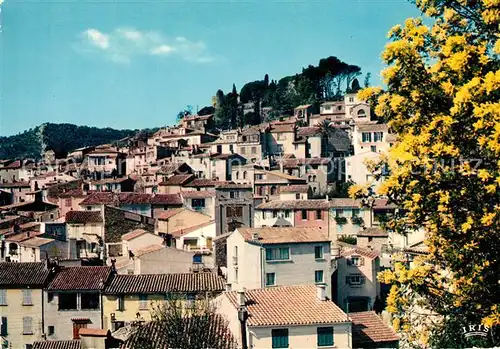 AK / Ansichtskarte Bormes les Mimosas Panorama Bormes les Mimosas