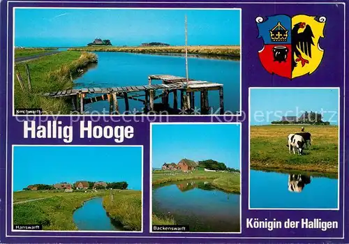 AK / Ansichtskarte Hallig_Hooge Kirchwarft Hanswarft Backenswarft Kuehe Wappen Koenigin der Halligen Hallig Hooge