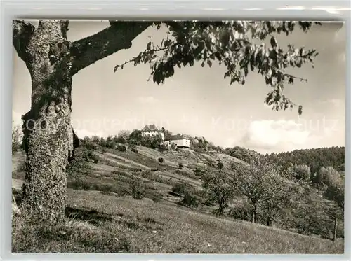 AK / Ansichtskarte Tuebingen Schloss Roseck Tuebingen