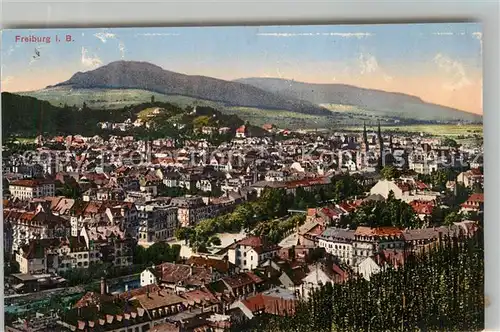 AK / Ansichtskarte Freiburg_Breisgau Panorama Muenster Freiburg Breisgau