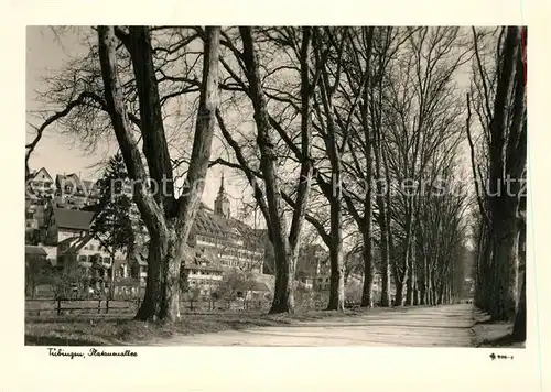 AK / Ansichtskarte Tuebingen Platanenallee  Tuebingen