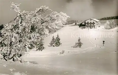 AK / Ansichtskarte Kandel_Breisgau Berghotel Winter Kandel Breisgau