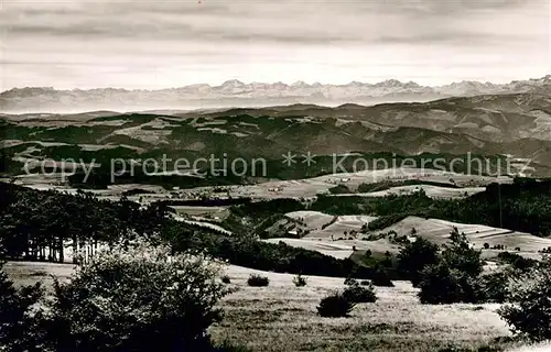 AK / Ansichtskarte Kandel_Breisgau Panorama Kandel Breisgau