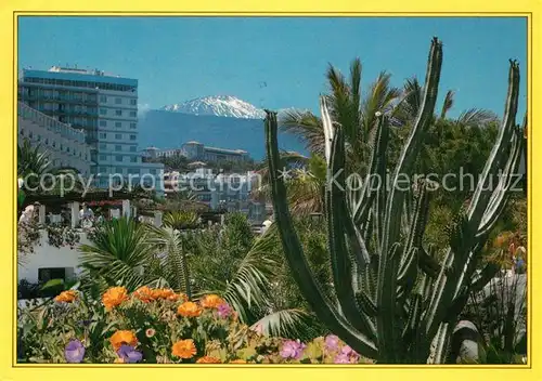 AK / Ansichtskarte Puerto_de_la_Cruz Kakteen Blick zum Vulkan Teide Puerto_de_la_Cruz