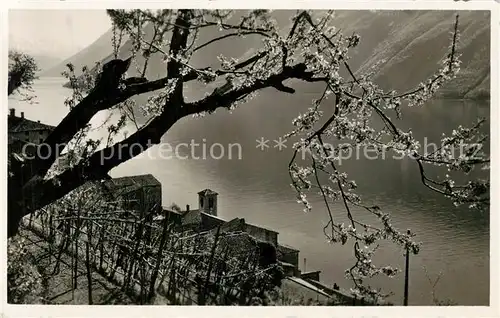 AK / Ansichtskarte Gandria_TI Partie am Lago di Lugano  Gandria_TI