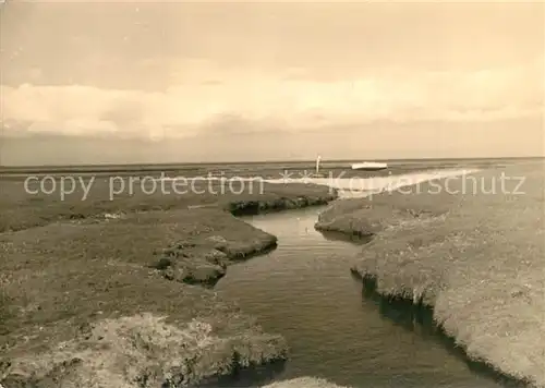 AK / Ansichtskarte Insel_Sylt Landschaftspanorama Insel_Sylt