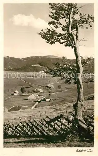 AK / Ansichtskarte Schauinsland Blick zum Feldberg Schauinsland