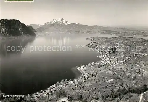 AK / Ansichtskarte Weggis_Vierwaldstaettersee Fliegeraufnahme Weggis_Vierwaldstaettersee