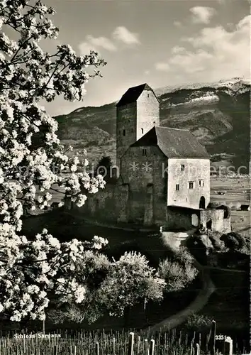 AK / Ansichtskarte Sargans Schloss im Fruehling Sargans