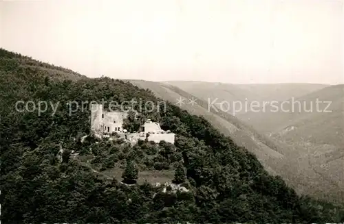 AK / Ansichtskarte Edenkoben Fliegeraufnahme Ruine Rietburg Edenkoben