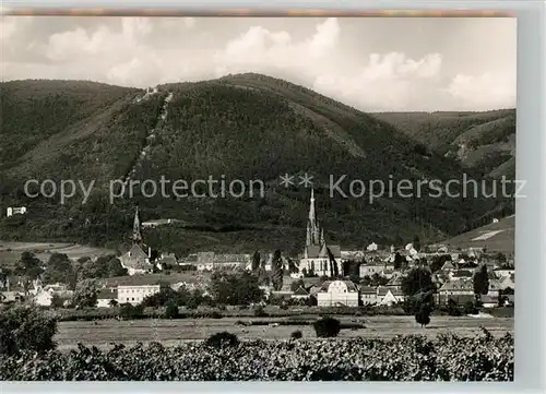 AK / Ansichtskarte Edenkoben Ortsansicht mit Kirchen Edenkoben