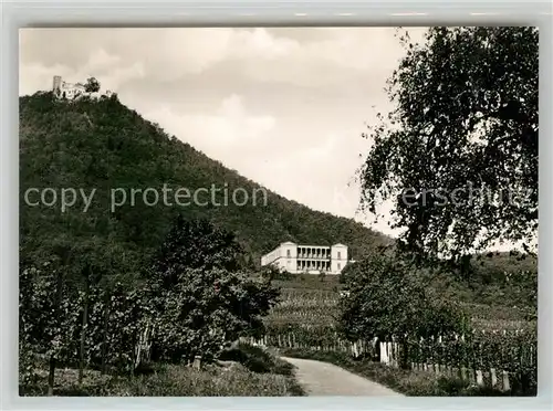 AK / Ansichtskarte Edenkoben Villa Ludwigshoehe mit Rietburg Edenkoben