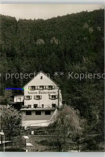 AK / Ansichtskarte Lambrecht Pension Waldschenke Lambrecht