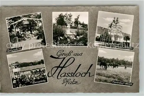 AK / Ansichtskarte Hassloch_Pfalz Naturpark Friedrich Ebert Platz Spielsplatz Loensstr Rennplatz Fohlenhof Weide Hassloch Pfalz