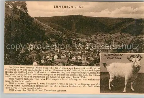 AK / Ansichtskarte Lambrecht Historischer Geissbock Lambrecht