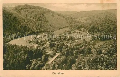 AK / Ansichtskarte Treseburg_Thale Landschaftspanorama Treseburg_Thale