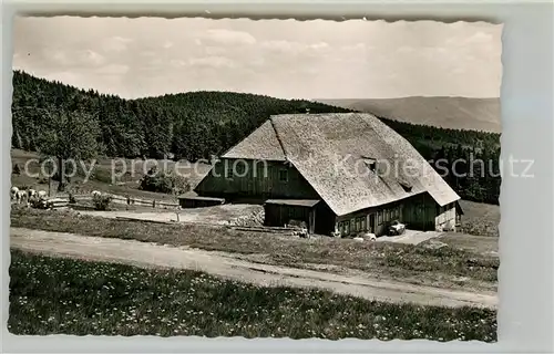 AK / Ansichtskarte Waldkirch_Breisgau Berggasthaus Kandelhof Waldkirch Breisgau