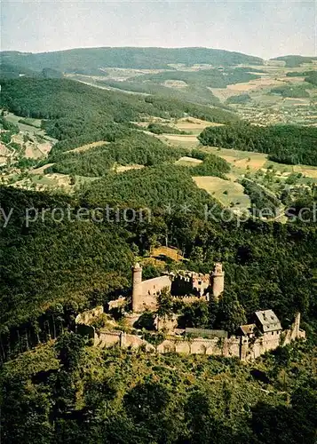 AK / Ansichtskarte Auerbach_Bergstrasse Burgrestaurant Auerbacher Schloss Fliegeraufnahme Auerbach_Bergstrasse