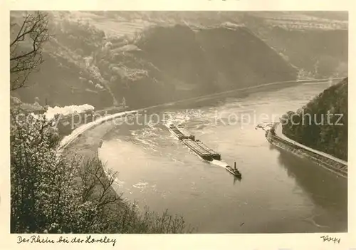 AK / Ansichtskarte Foto_Popp_Nr. Rhein Loreley  Foto_Popp_Nr.