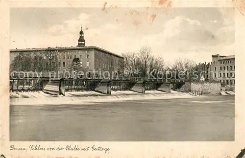 AK / Ansichtskarte Dessau Rosslau Schloss von der Mulde mit Gestaenge Dessau Rosslau