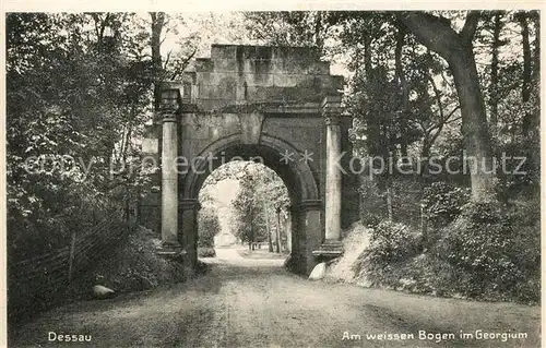 AK / Ansichtskarte Dessau Rosslau Am weissen Bogen im Georgium Bromophot Dessau Rosslau