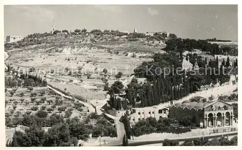 AK / Ansichtskarte Jerusalem_Yerushalayim Mount of Olives Jerusalem_Yerushalayim