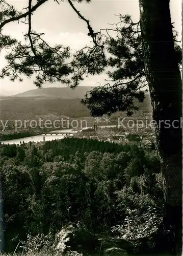 AK / Ansichtskarte Bad_Saeckingen Blick auf Stadt und Schweizer Berge Bad_Saeckingen